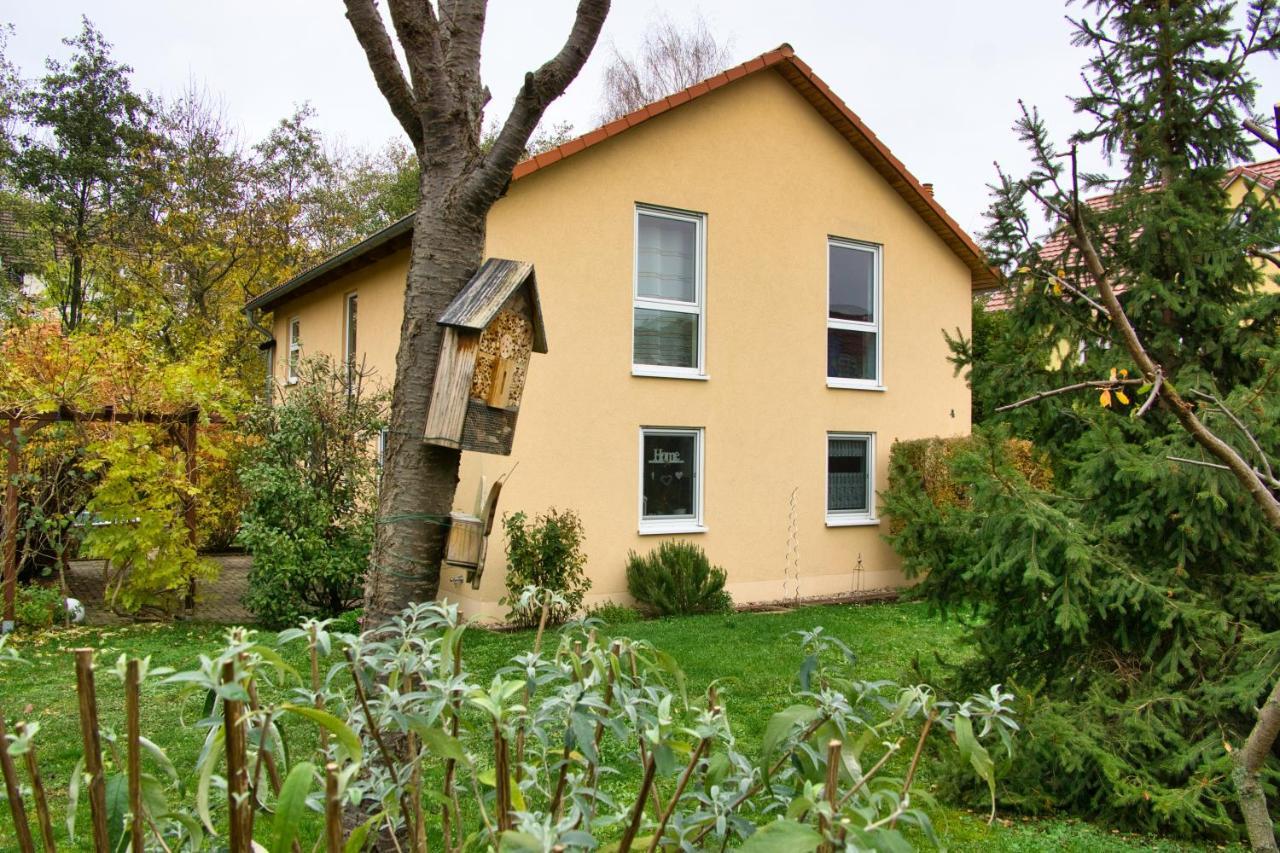 Mycozyplace - Gemuetliches Zimmer Fuer Zwei Dresde Extérieur photo